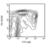 BD PE Mouse Anti-Rat CD45R