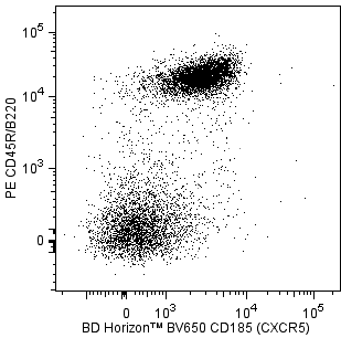 BD BV650 Rat Anti-Mouse CD185 (CXCR5)