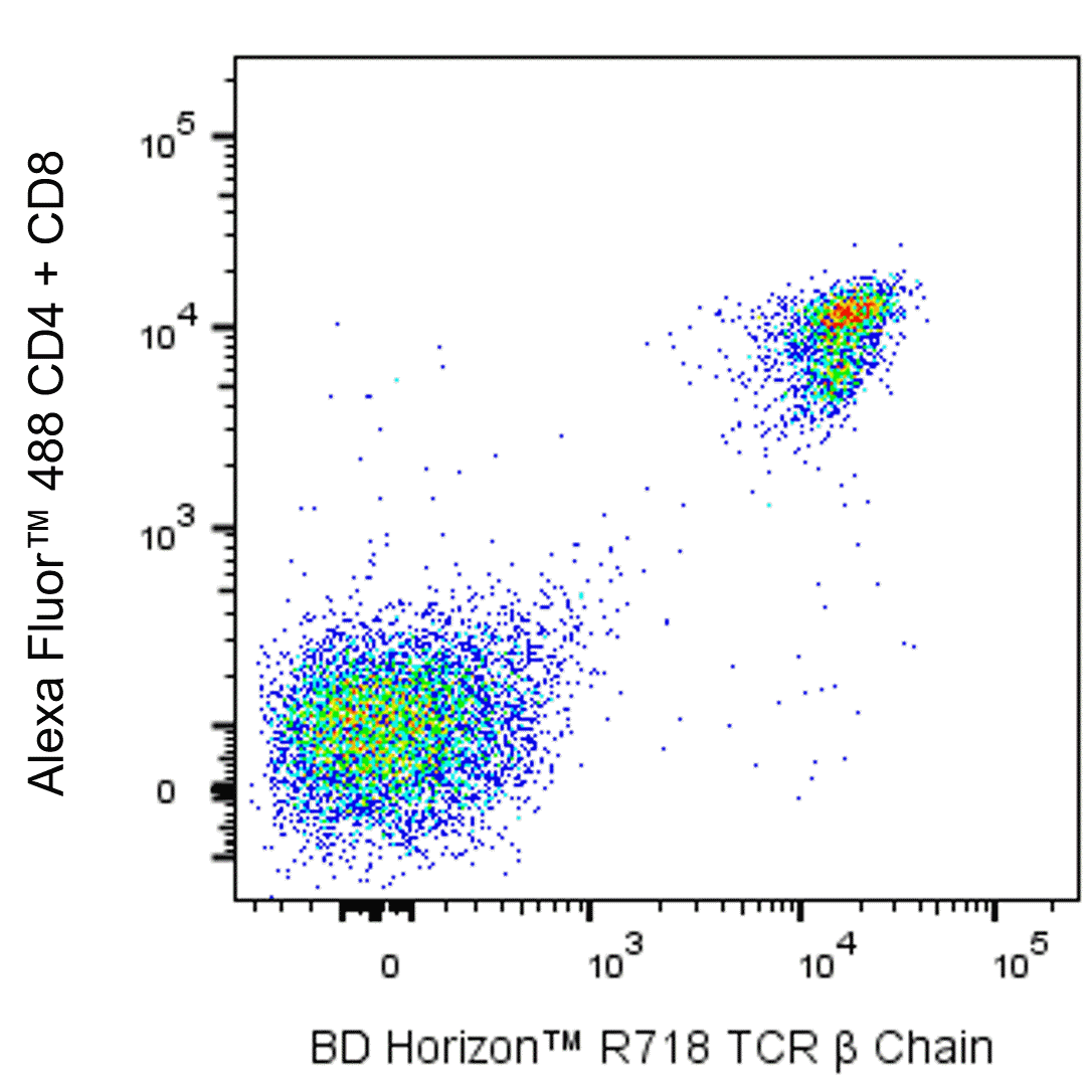 BD R718 Hamster Anti-Mouse TCR β Chain