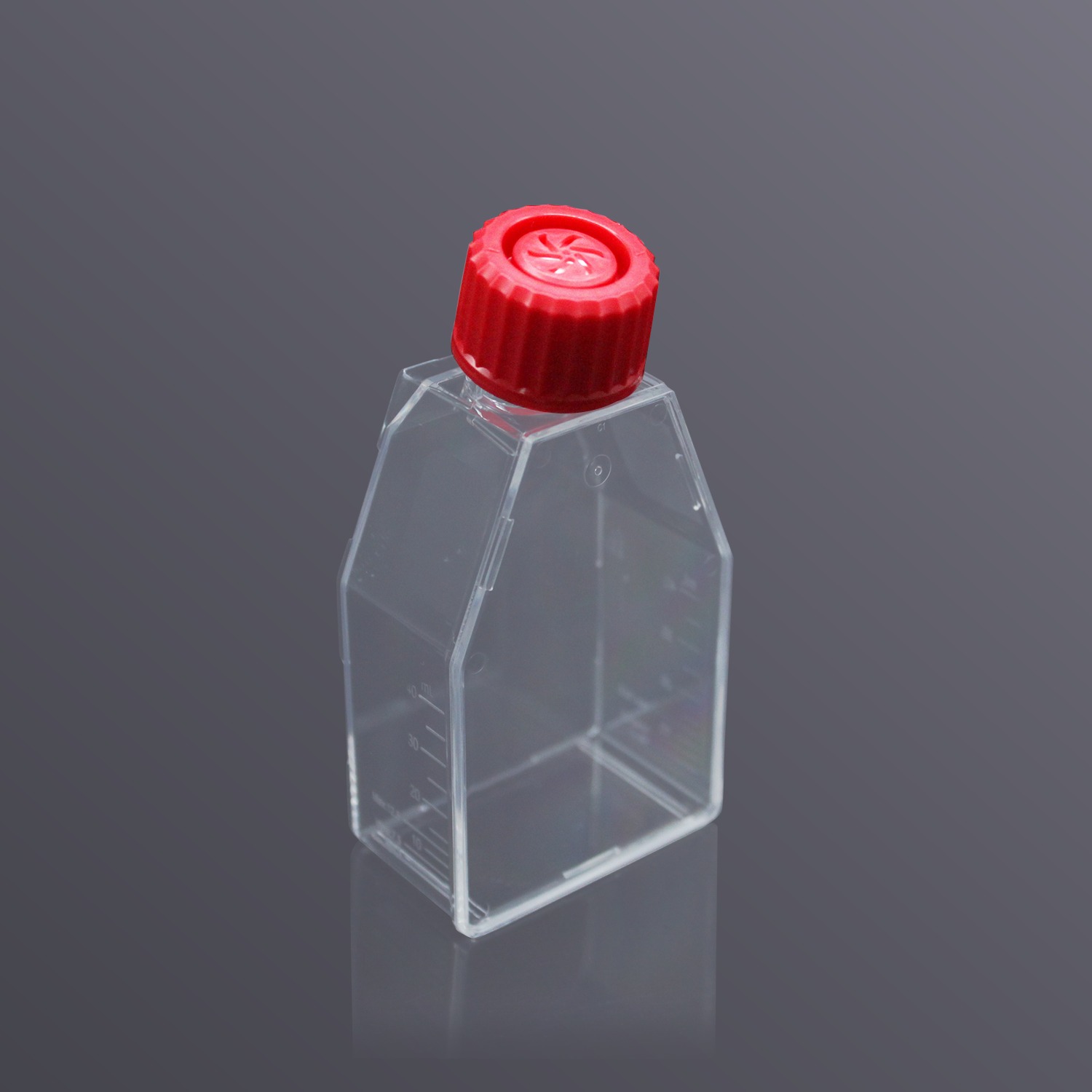 LABSELECT Cell culture flask, TC-treated, vent cap