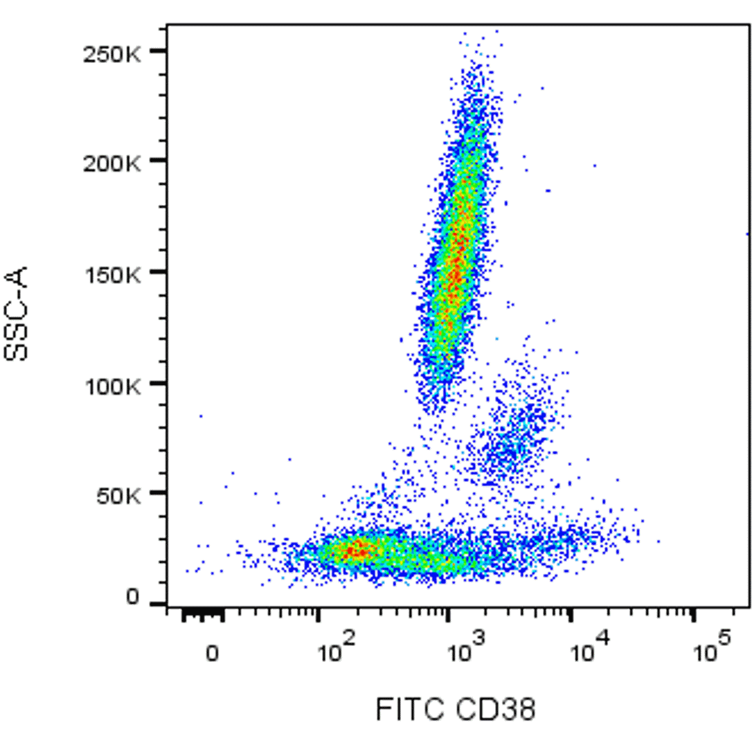 BD FITC Mouse Anti-Human CD38