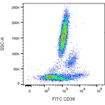 BD FITC Mouse Anti-Human CD38