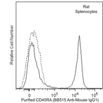 BD BB515 Rat Anti-Mouse IgG1