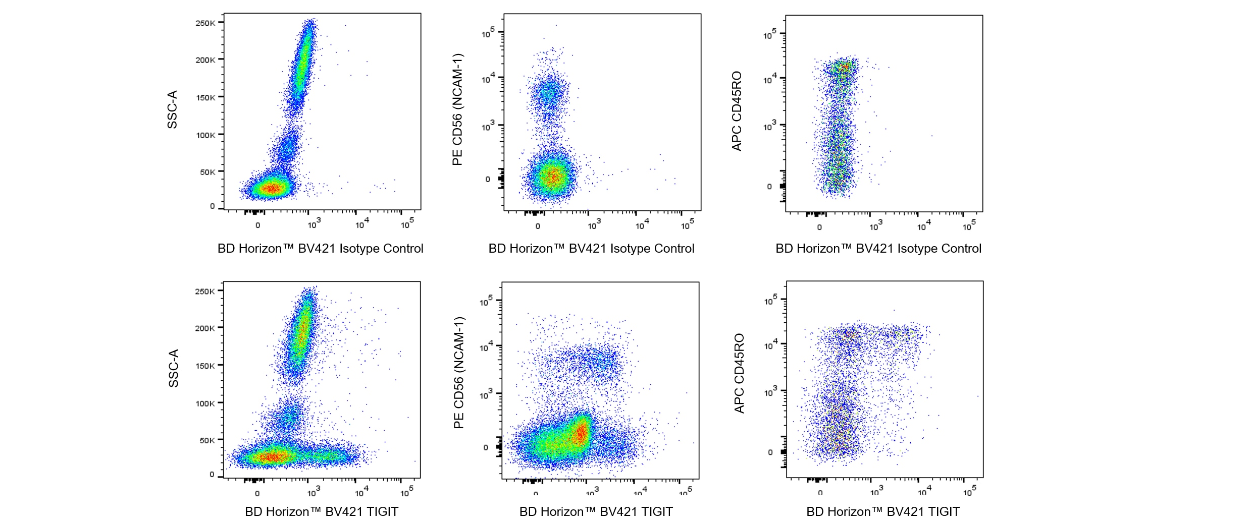 BD BV421 Mouse Anti-Human TIGIT