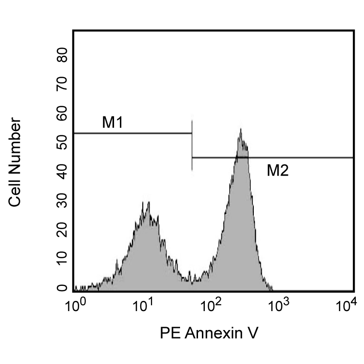 BD PE Annexin V Apoptosis Detection Kit I
