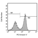 BD PE Annexin V Apoptosis Detection Kit I