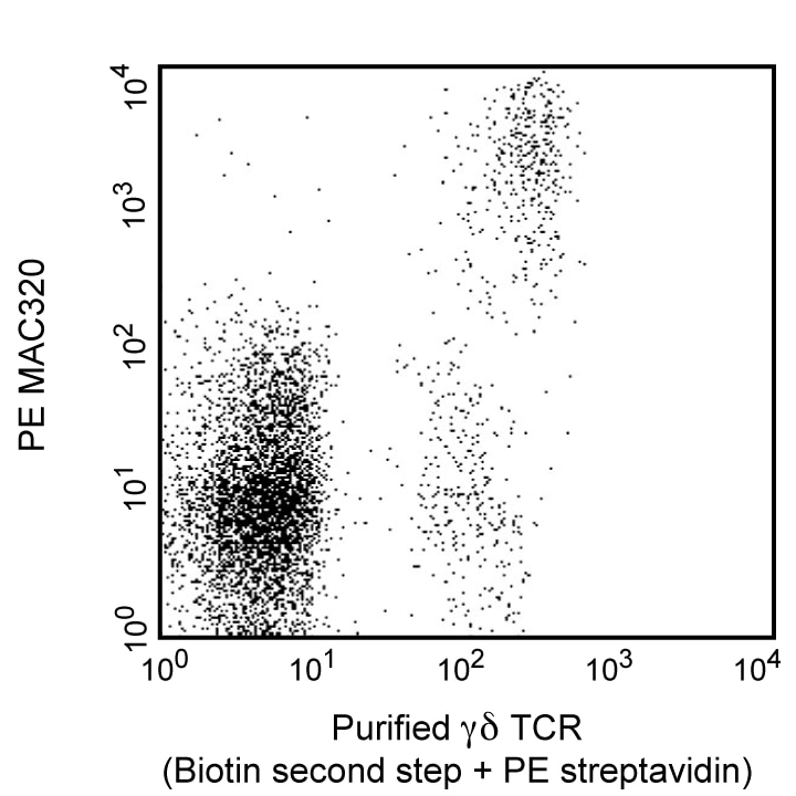BD Purified Rat Anti-Pig γδ T Lymphocytes