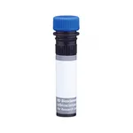 BD BUV496 Mouse Anti-Human IgG