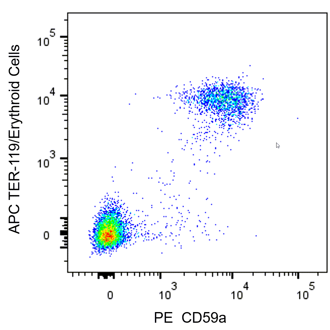 BD PE Mouse Anti-Mouse CD59a