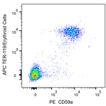 BD PE Mouse Anti-Mouse CD59a