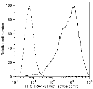 BD FITC Mouse anti-Human TRA-1-81 Antigen