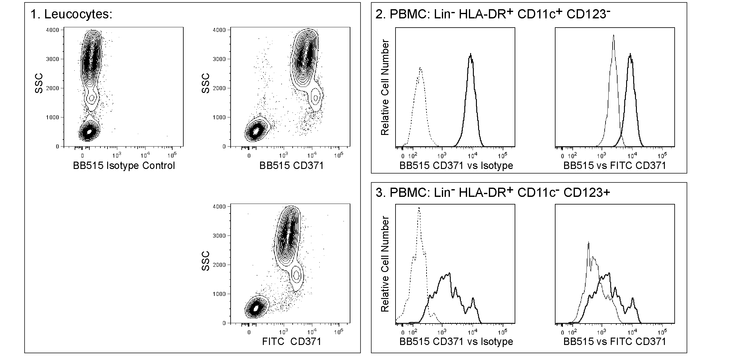 BD BB515 Mouse Anti-Human CD371 (Clec12A)