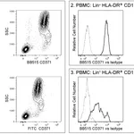 BD BB515 Mouse Anti-Human CD371 (Clec12A)