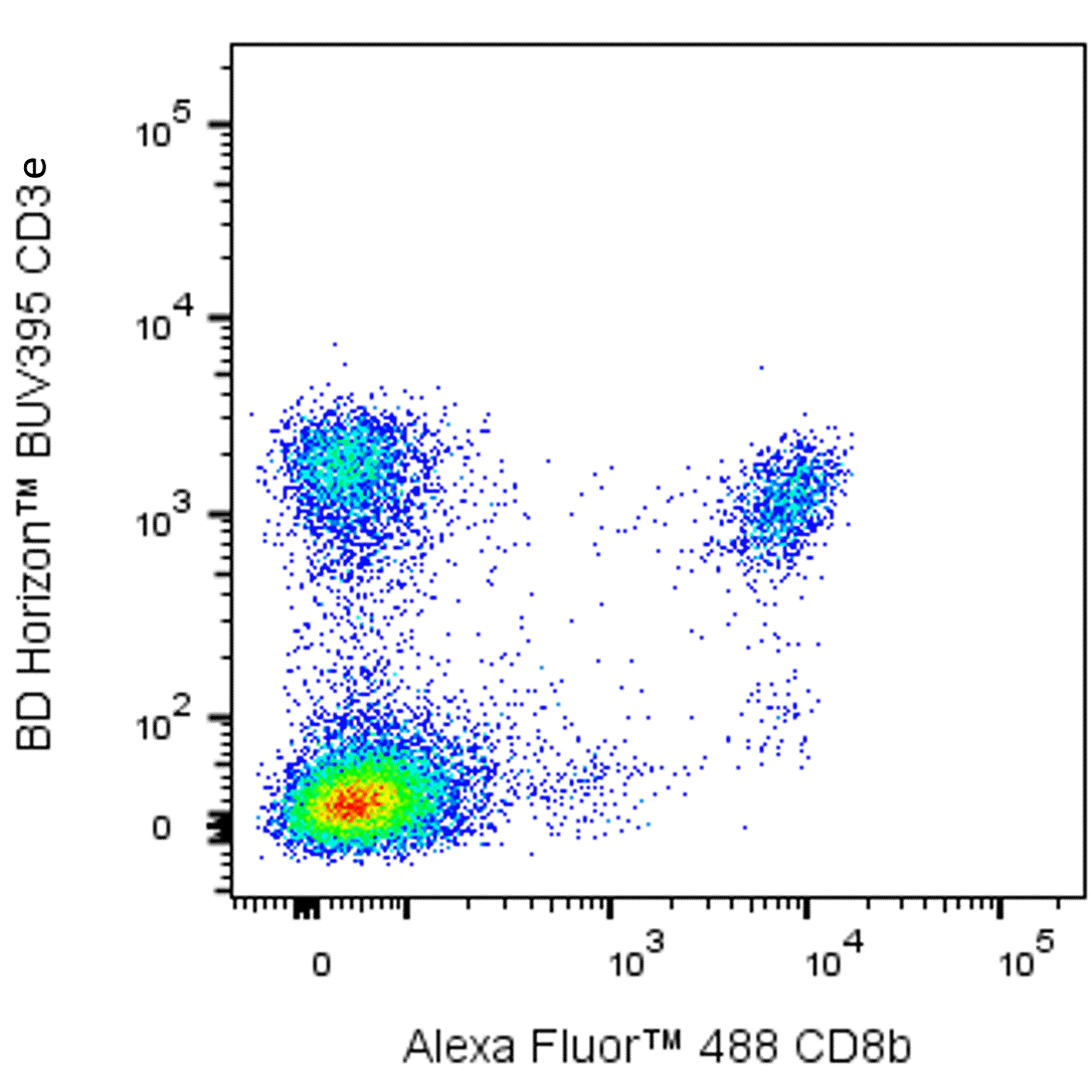 BD Alexa Fluor 488 Rat Anti-Mouse CD8b