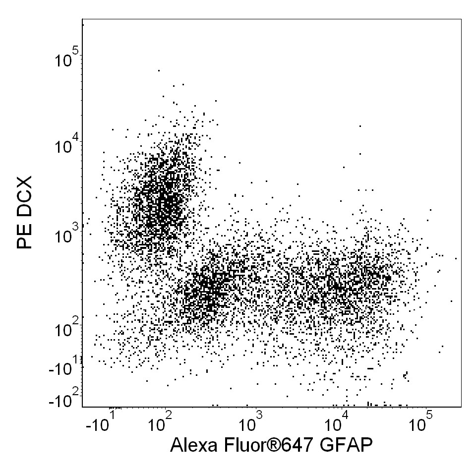 BD Alexa Fluor® 488 Mouse anti-Human Pax-6