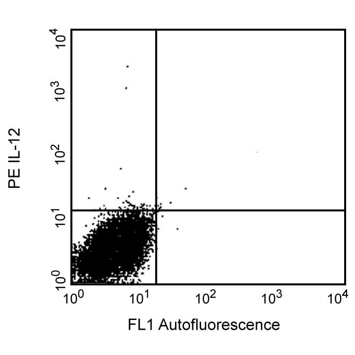 BD Purified Rat Anti-Mouse IL-12 (p40/p70)