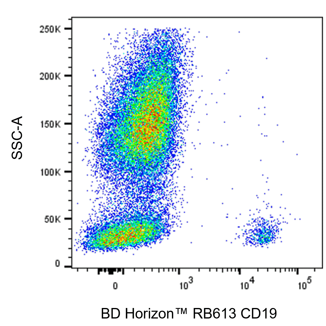 BD RB613 Mouse Anti-Human CD19