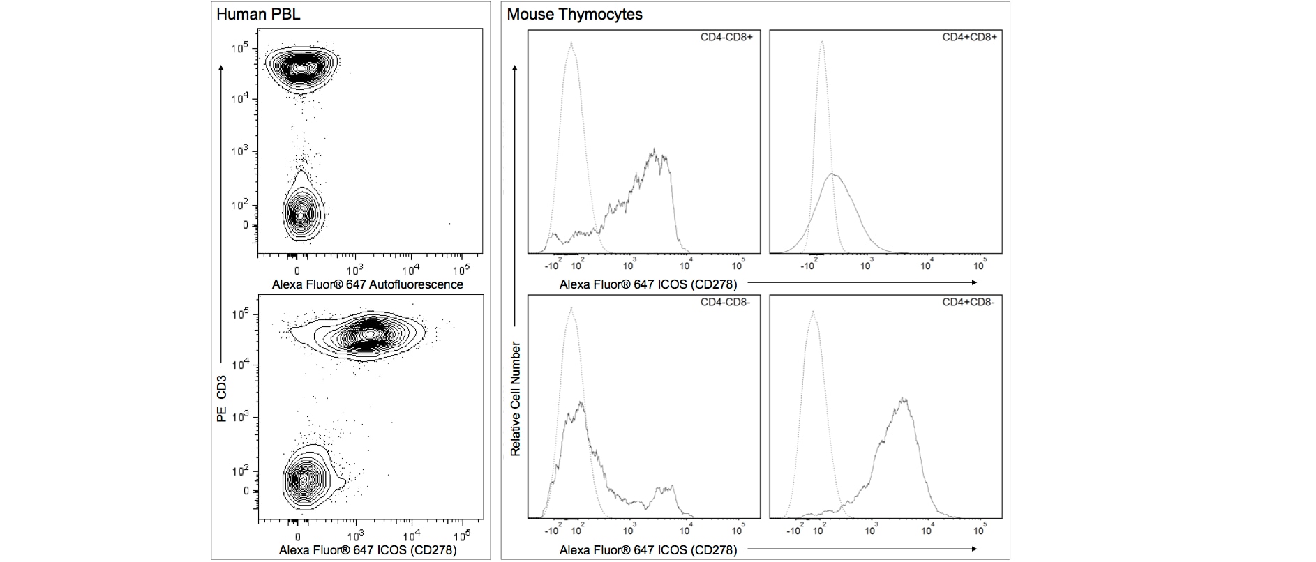 BD Alexa Fluor® 647 Armenian Hamster Anti-ICOS (CD278)