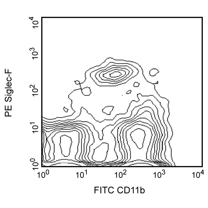 BD PE Rat Anti-Mouse Siglec-F