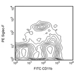 BD PE Rat Anti-Mouse Siglec-F