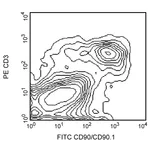 BD FITC Mouse Anti-Rat CD90/Mouse CD90.1