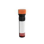 BD RR688 Mouse Anti-Human CD137L (4-1BB Ligand)