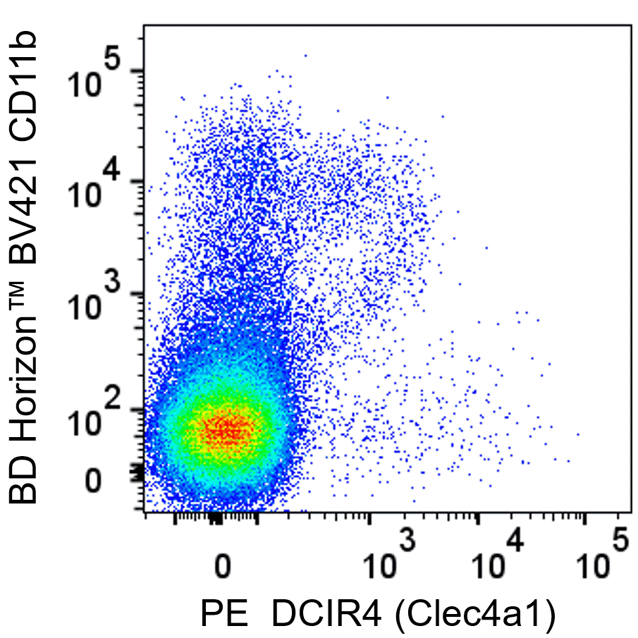 BD PE Rat Anti-Mouse DCIR4 (Clec4a1)