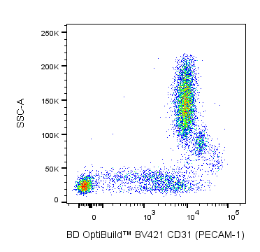 BD BV421 Mouse Anti-Human CD31