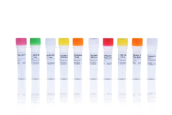 Norgen Homologous Recombination Assay Kit
