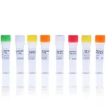 Norgen Homologous Recombination Assay Kit