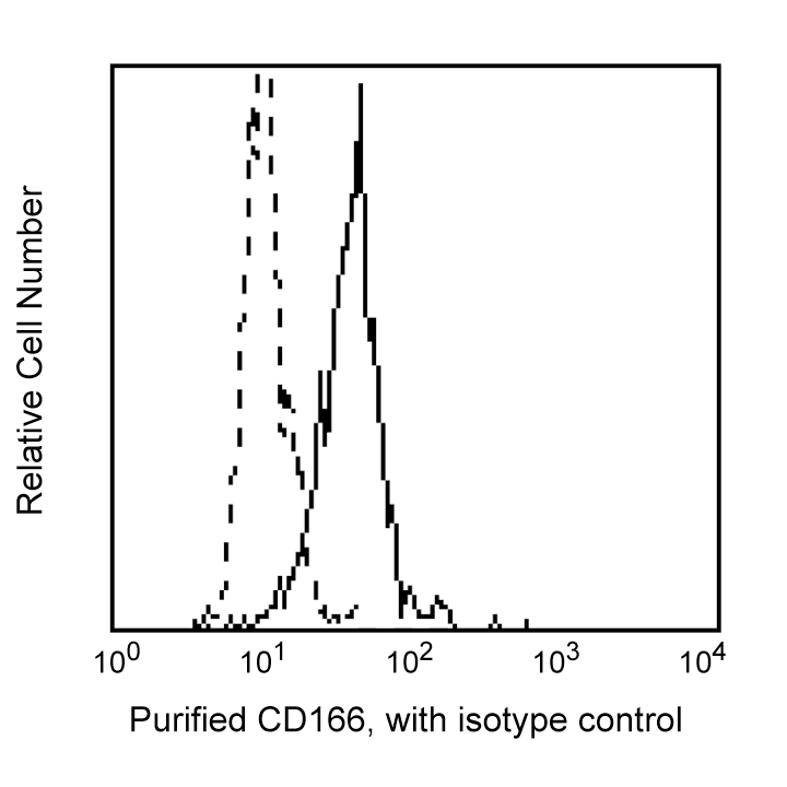 BD Purified Mouse Anti-Human CD166