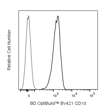 BD BV421 Mouse Anti-Rat CD1d