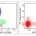 BD PE Mouse Anti-Human TIM-3 (CD366)