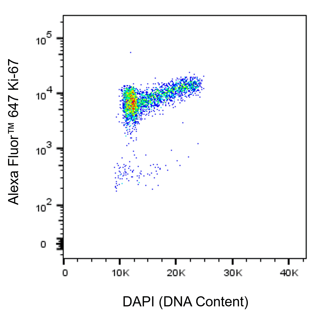 BD Alexa Fluor 647 Mouse Anti-Human Ki-67