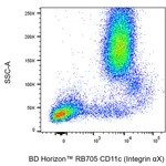 BD RB705 Mouse Anti-Human CD11c (Integrin αX)