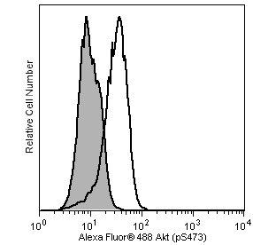 BD Alexa Fluor® 488 Mouse anti-Akt (pS473)