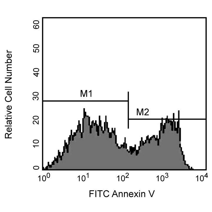 BD FITC Annexin V Apoptosis Detection Kit I