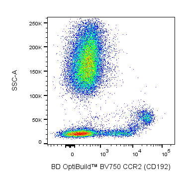 BD BV750 Mouse Anti-Human CCR2 (CD192)