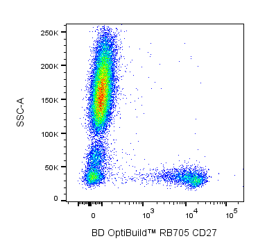 BD RB705 Mouse Anti-Human CD27