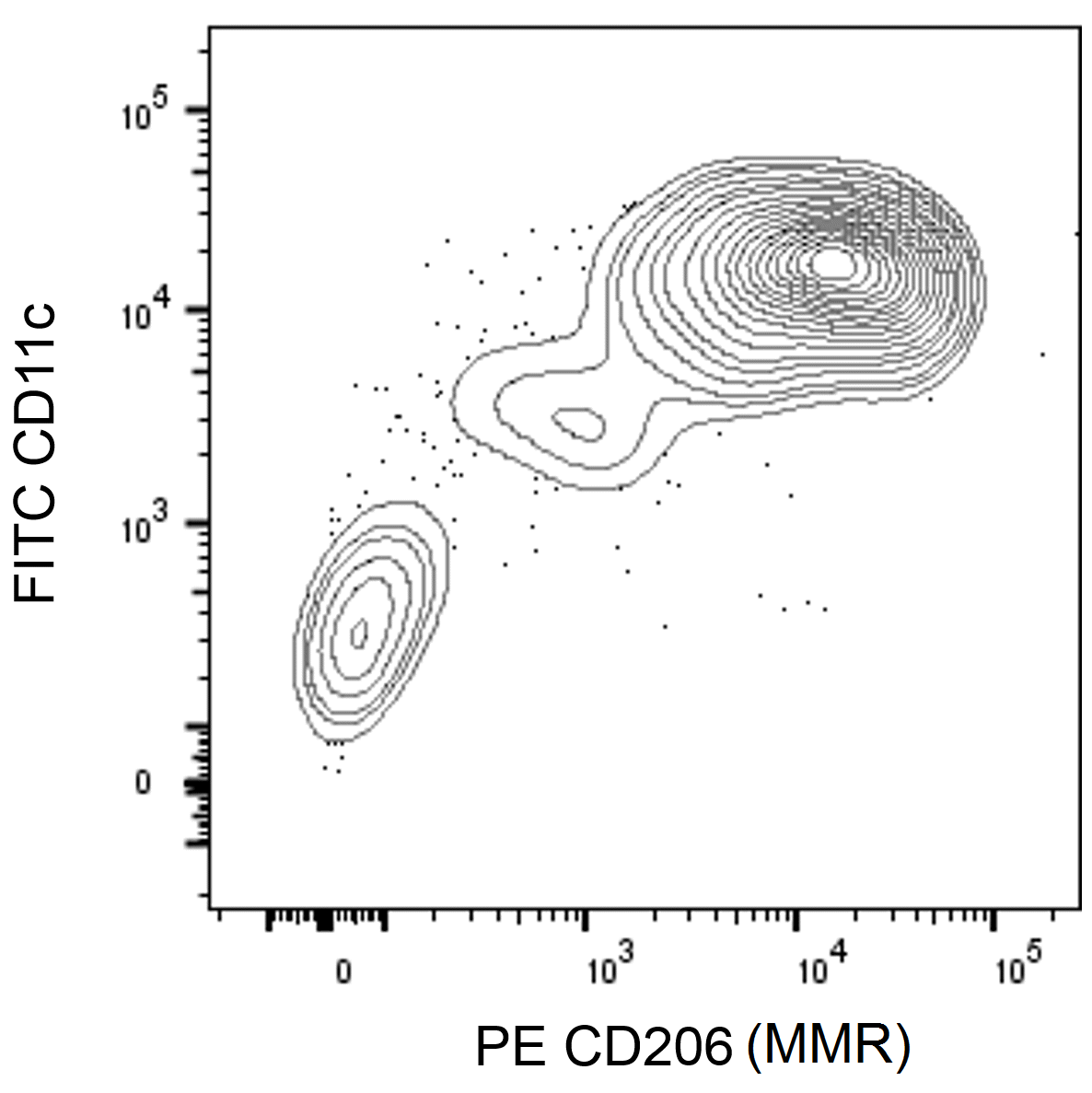 BD PE Mouse Anti-Human CD206 (MMR)