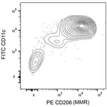 BD PE Mouse Anti-Human CD206 (MMR)