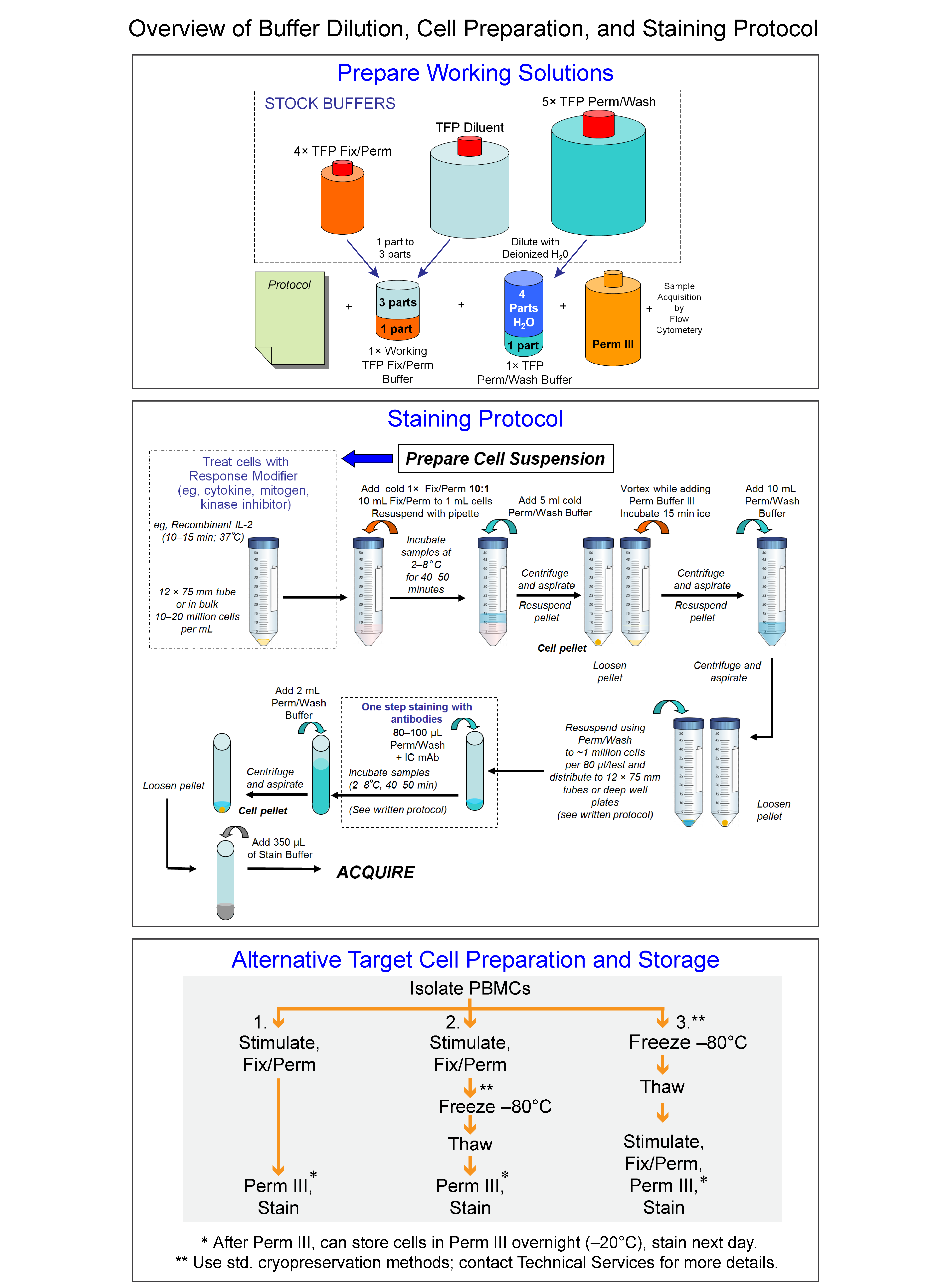 BD Transcription Factor Phospho Buffer Set