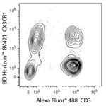 BD BV421 Rat Anti-Human CX3CR1