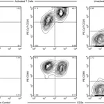 BD Mouse T Lymphocyte Activation Antibody Cocktail, with Isotype Control