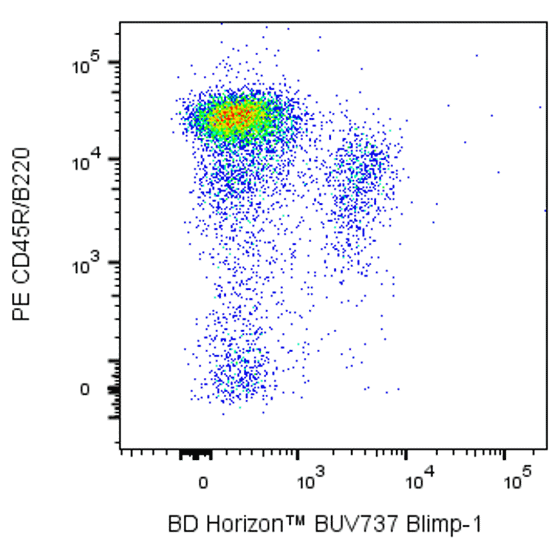 BD BUV737 Rat Anti-Mouse Blimp-1