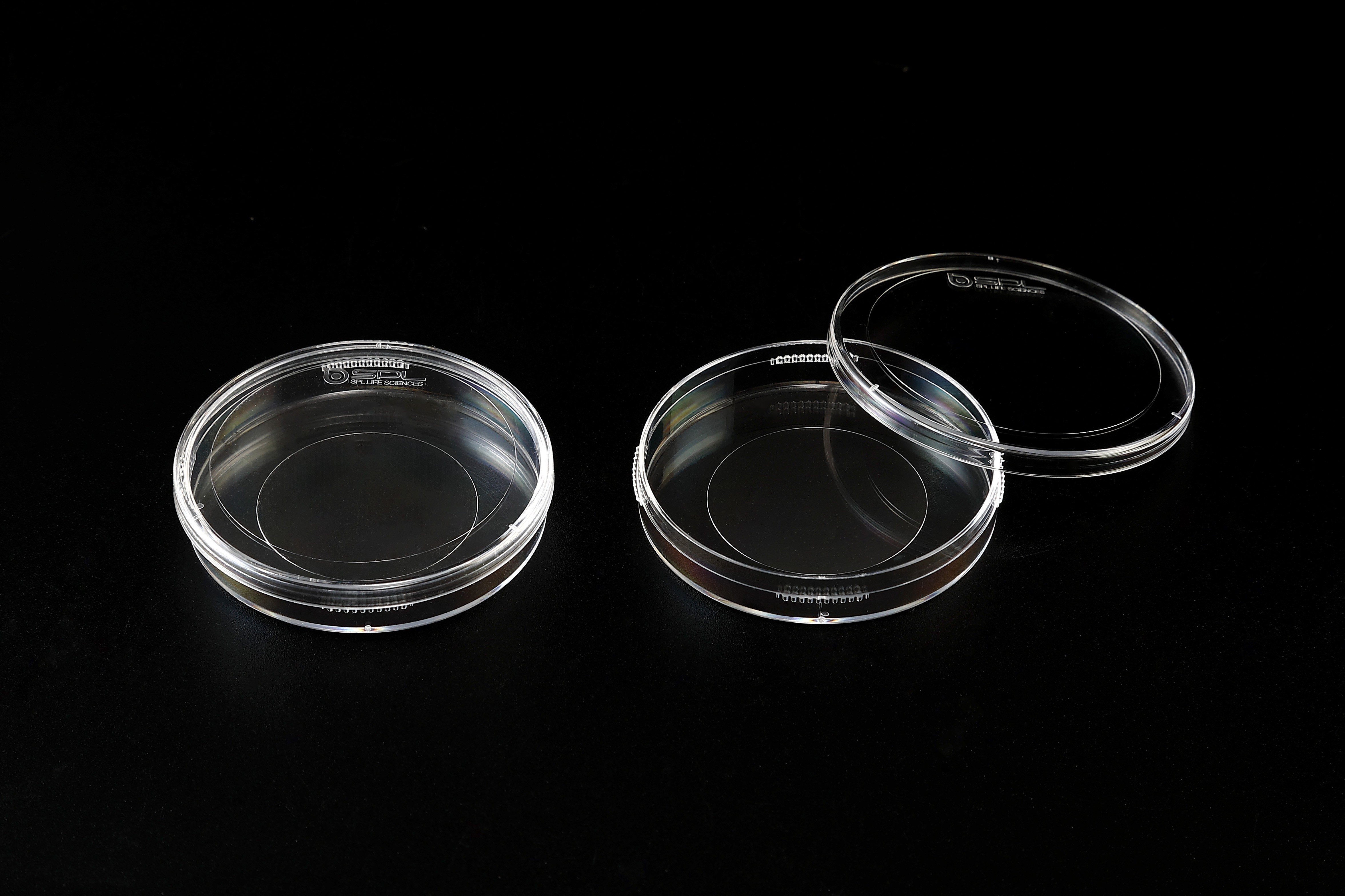 SPL 50 mm Culture Dish