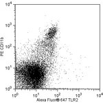 BD Alexa Fluor® 647 Rat anti-Mouse CD282