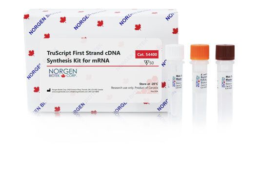 Norgen TruScript First Strand cDNA Synthesis Kit for mRNA