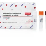 Norgen TruScript First Strand cDNA Synthesis Kit for mRNA