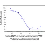 BD Purified NA/LE Anti-Human Integrin α4β7 Vedolizumab Biosimilar